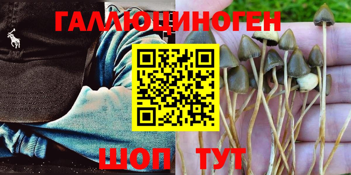 Фурманов  Псилоцибиновые грибы мицелий  Вход с VPN  Галлюциногенные грибы мицелий 